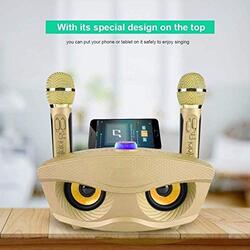 SDRD Portable Karaoke Wireless Bluetooth Speaker with 2 Microphones & Home Karaoke Support AUX TF Card U Disk FM Radio, Gold