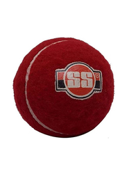 SS 6-Piece Soft Pro Tennis Cricket Ball, Red