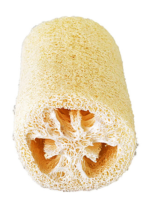 Loofah, Brown, Large