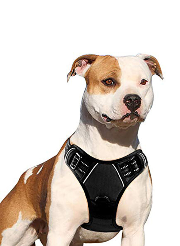 Dog harness for store walking