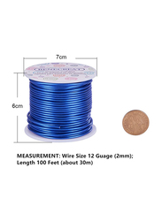 Benecreat  100 Feet 12 Gauge Jewellery Aluminium Craft Wire, 2mm, Blue