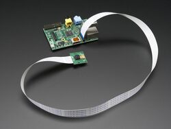 Adafruit Flex Cable for Raspberry Pi Camera - 24" / 610mm