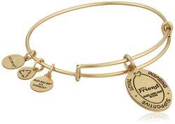 Alex and Ani Because I love you, Friend II Expandable Rafaelian Gold-Tone Bracelet