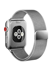 Milanese Stainless Steel Loop Strap with Case Cover for Apple Watch Series 1/2/3, Silver