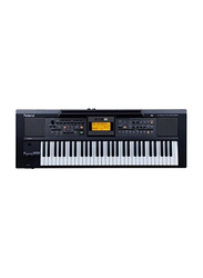 Roland E-09IN Indian Edition Interactive Arranger Keyboard, 61 Keys, Black