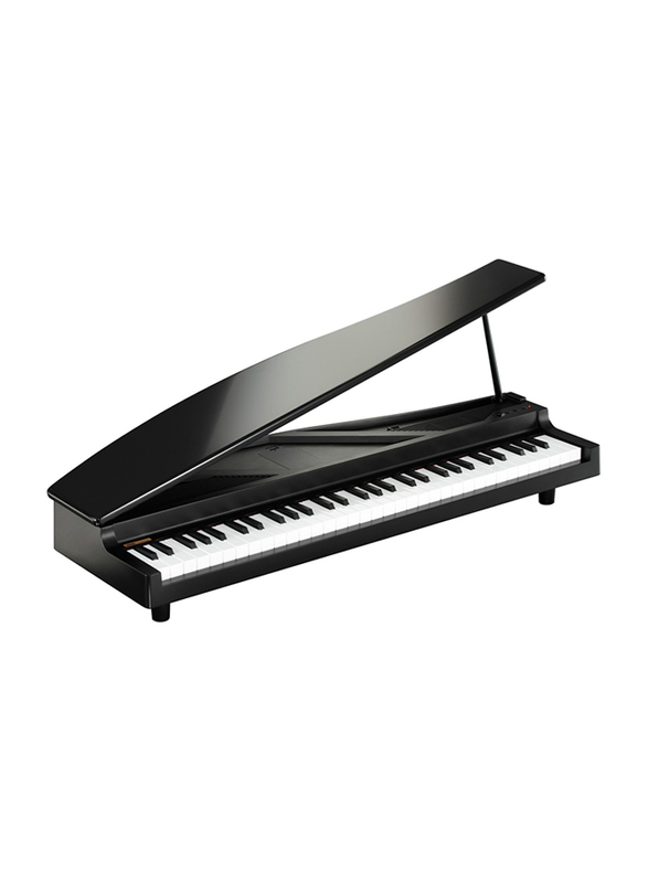 Korg MicroPiano Digital Piano, 61 Keys, Black
