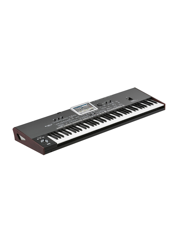 Korg Pa3X-LE Professional Arranger Keyboard, 76 Keys, Black