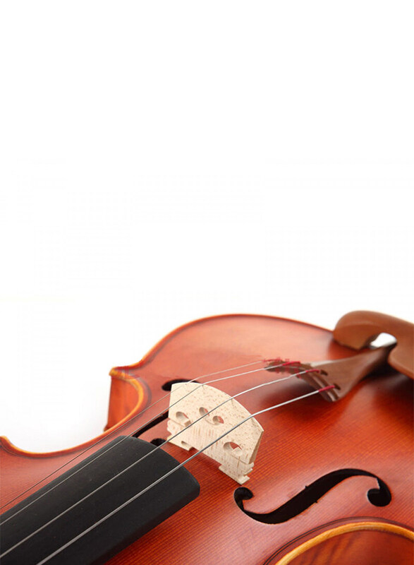 Hans Joseph MV100 Violin, Rosewood Fingerboard Brown