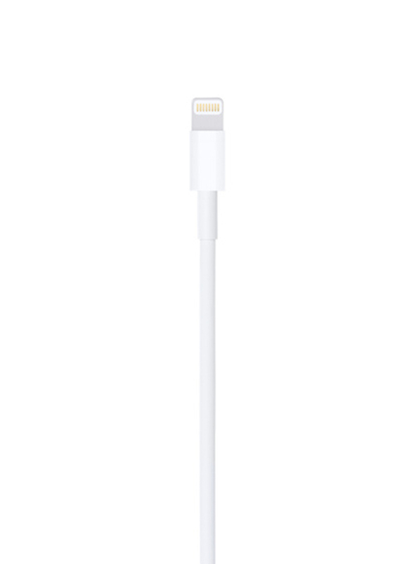 Apple 1-Meter Lightning Cable, USB A Male to Lightning for Apple Devices, White