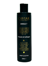 Caviar Omega 7 Replenishing Moisture Shampoo for Dry Hair, 250ml