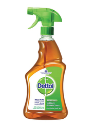 Dettol Anti-Bacterial Surface Disinfectant Spray, 500ml