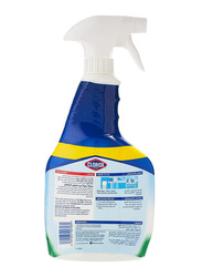 Clorox Multipurpose Cleaner Spray, 750ml