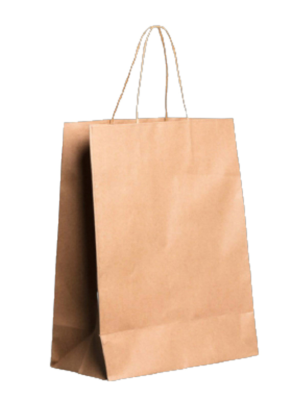 Hotpack Paper Bag with Twisted Handle, 38 x 14 x 40cm, Brown