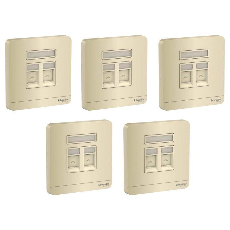 

Schneider Electric AvatarOn, 2 data socketS, RJ45, cat6e, shuttered, Wine Gold (Model Number-E8332RJS6_WG) - Pack of 5
