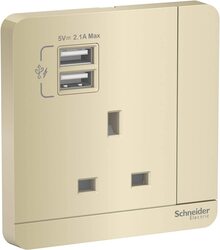 Schneider Electric E8315USB_WG_G12 AvatarOn Gold - Single 13A Socket combined 2 x USB ports 2.1 A