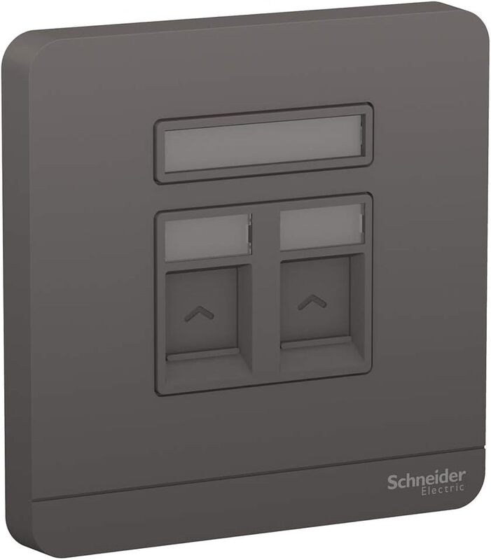 Schneider Electric AvatarOn E8332RJS_DG 1 Gang 2 Keystone Wallplate Jack RJ-45 Dark Grey - Pack of 5