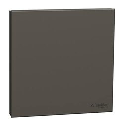 Schneider Electric Avataron C Blank Plate E8730X_DG, 1 Gang, Dark Grey
