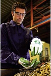 Honeywell 233254509 CutResistant Safety Glove Check & Go Green PU 5 Dyneema Polyamide and Fibre Composite Dimension