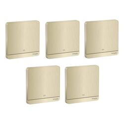 Schneider Electric AvatarOn Double Pole Switch with LED, 250V - E8331D20N_GH (20 Amps) - Pack of 5