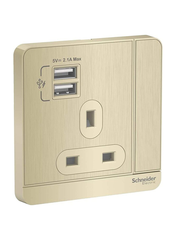 Schneider Electric AvatarOn 3P 13A Switched Socket 2 USB Charger 250V, E8315USB_GH_G12, Metal Gold Hairline