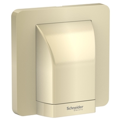 Schneider Electric AvatarOn, fused connection, 45A, 250V, Wine gold (Model Number-E83554_WG)