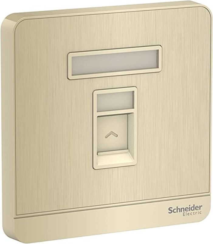 Schneider Electric E8331RJS_GH AvatarOn Gold Hairline keystone RJ45 wallplate