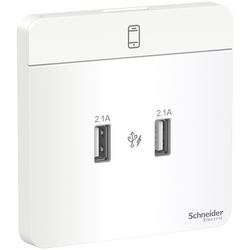 Schneider Electric AvatarOn, USB charger, 2 type A, 2.1 A, White (Model Number-E8332USB_WE)