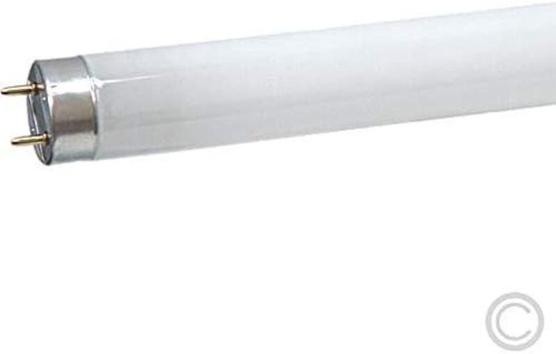 Osram/ Ledvance Fluorescent Tube Light 18 Watts Cool Daylight T8 L 1350 lm 600mm G13 Base 0.6 m- Pack of 5