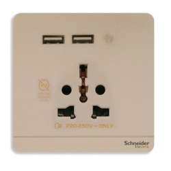 Schneider Electric AvatarOn, USB charger + 2 socket-outlet, 2P, 16A, Wine Gold (Model Number-E8342616USB_WG)