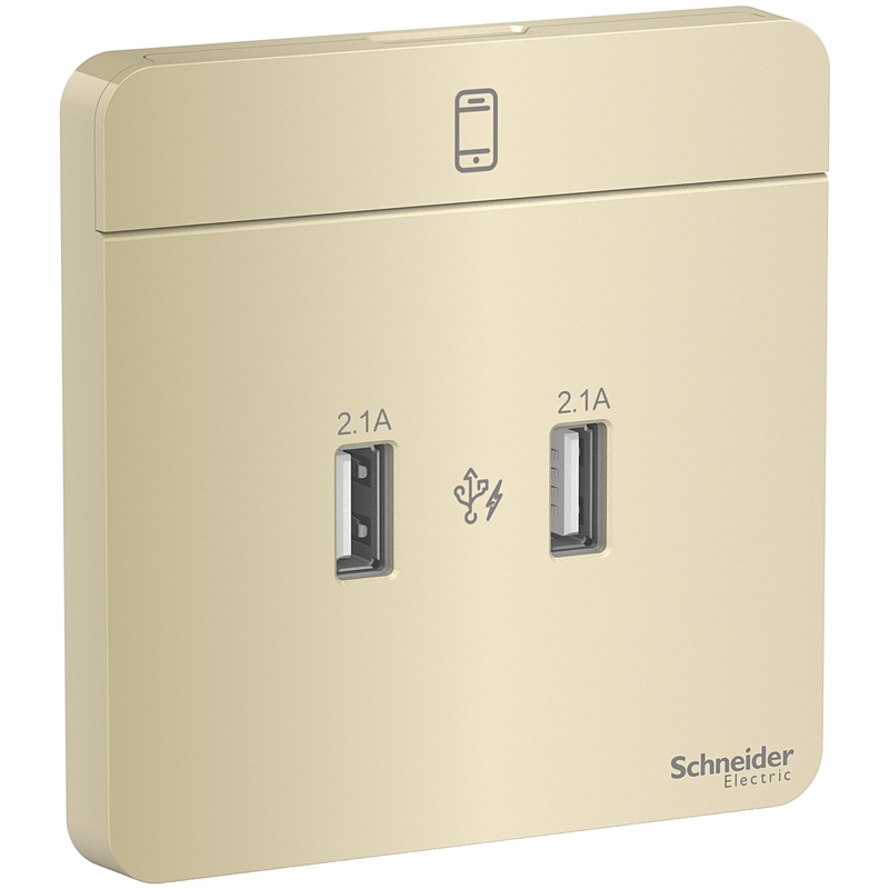 Schneider Electric AvatarOn, USB charger, 2 type A, 2.1 A, Wine Gold (Model Number-E8332USB_WG)