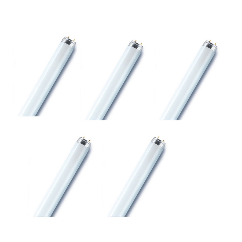 Osram/ Ledvance Fluorescent Tube Light 18 Watts Cool Daylight T8 L 1350 lm 600mm G13 Base 0.6 m- Pack of 5