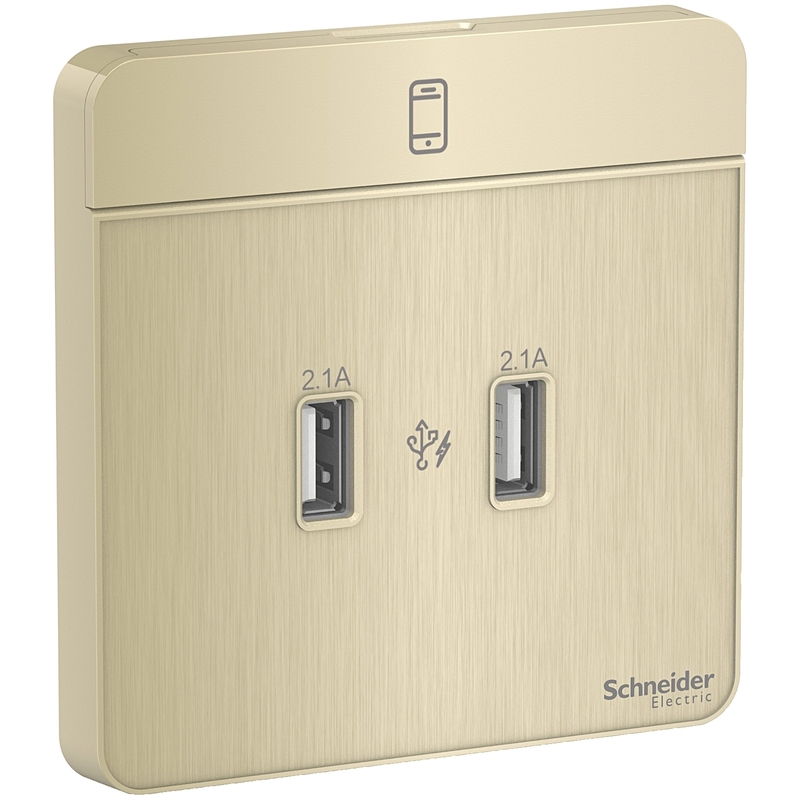 Schneider Electric AvatarOn, USB charger, 2 type A, 2.1 A, Metal Gold Hairline (Model Number-E8332USB_GH)