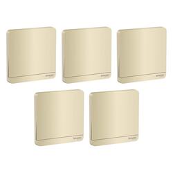 Schneider Electric E8331L2_WG AvatarOn Gold - 2-way plate switch 1 gang 16AX - Pack of 5