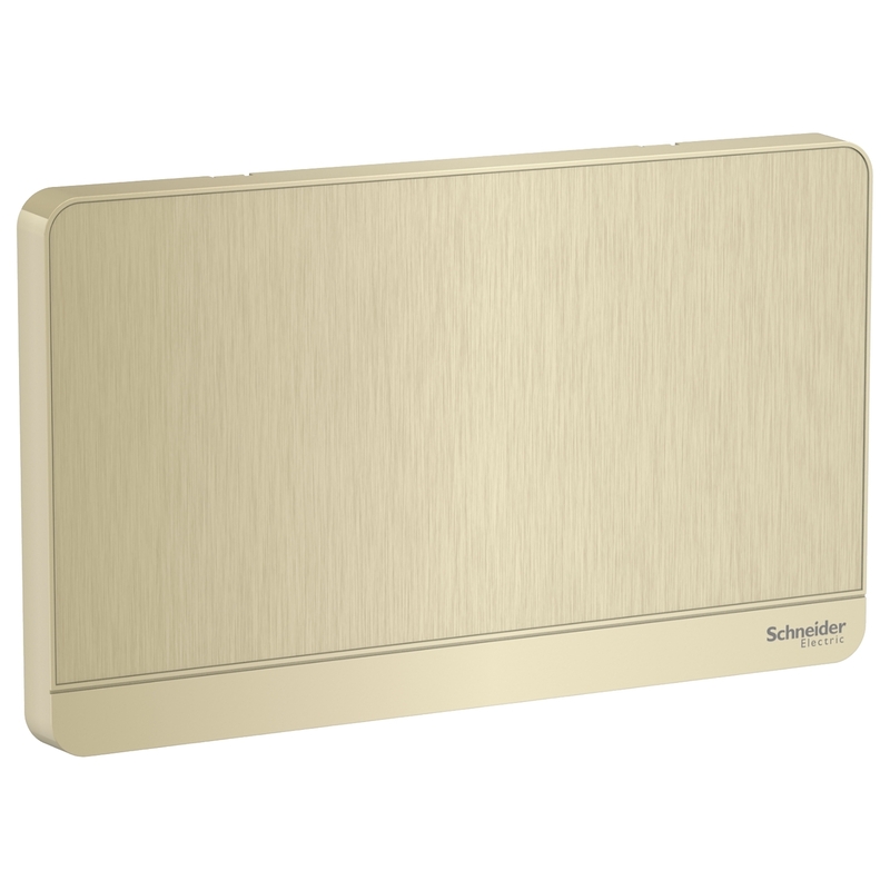 Schneider Electric AvatarOn, 2G Blank Plate, Metal Gold Hairline (Model Number -E8330TX_GH)