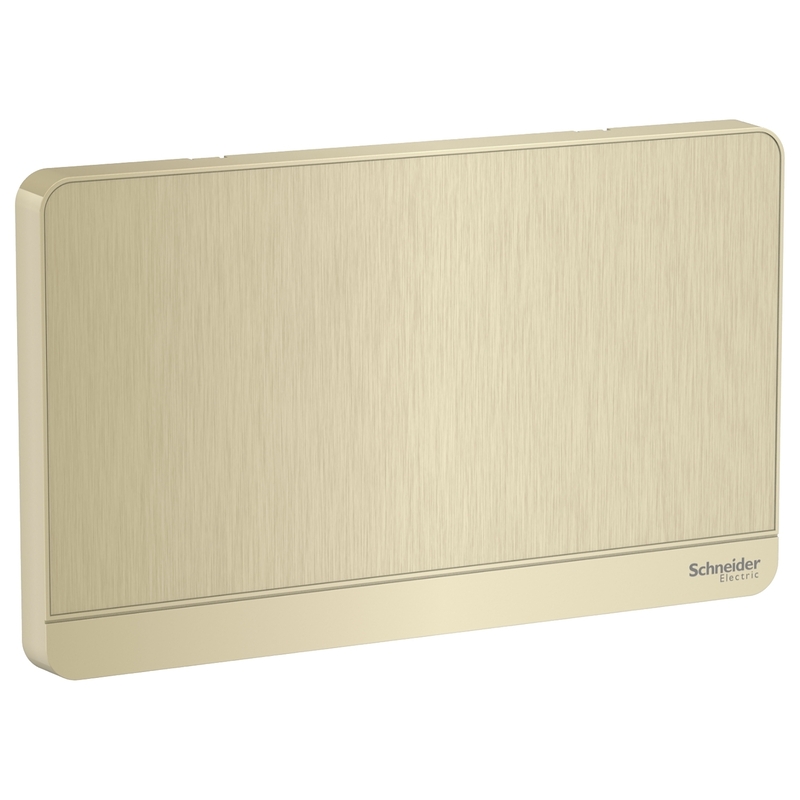 

Schneider Electric AvatarOn, 2G Blank Plate, Metal Gold Hairline (Model Number -E8330TX_GH)