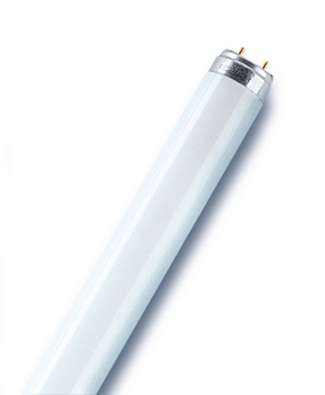 Osram/ Ledvance Flurescent Tube Light 18 Watts Warm White with G13 bases 26 mm- Pack of 5