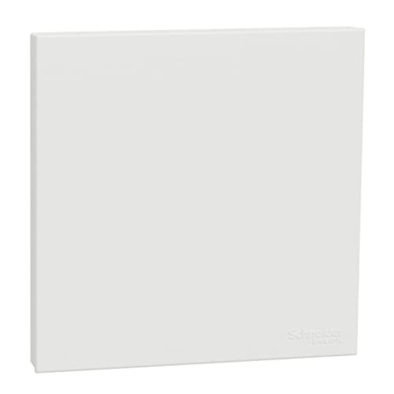 Schneider Electric Avataron C Blank Plate E8730X_WE, 1 Gang, White