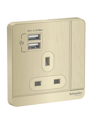 Schneider Electric AvatarOn 3P 13A 2 USB charger + Switched Socket, E8315USB_GH_G11, Metal Gold Hairline