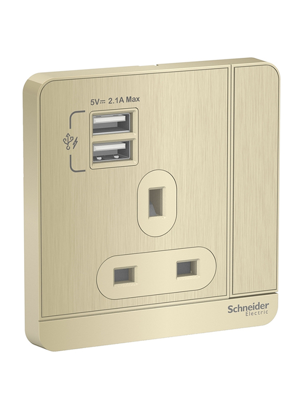 Schneider Electric AvatarOn 3P 13A 2 USB charger + Switched Socket, E8315USB_GH_G11, Metal Gold Hairline