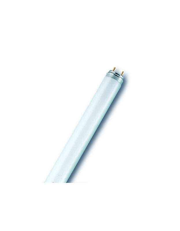 

Osram Fluorescent Tube Light Basic T8 L 36 Watts 4000k Cool White G13 base 1.2 m
