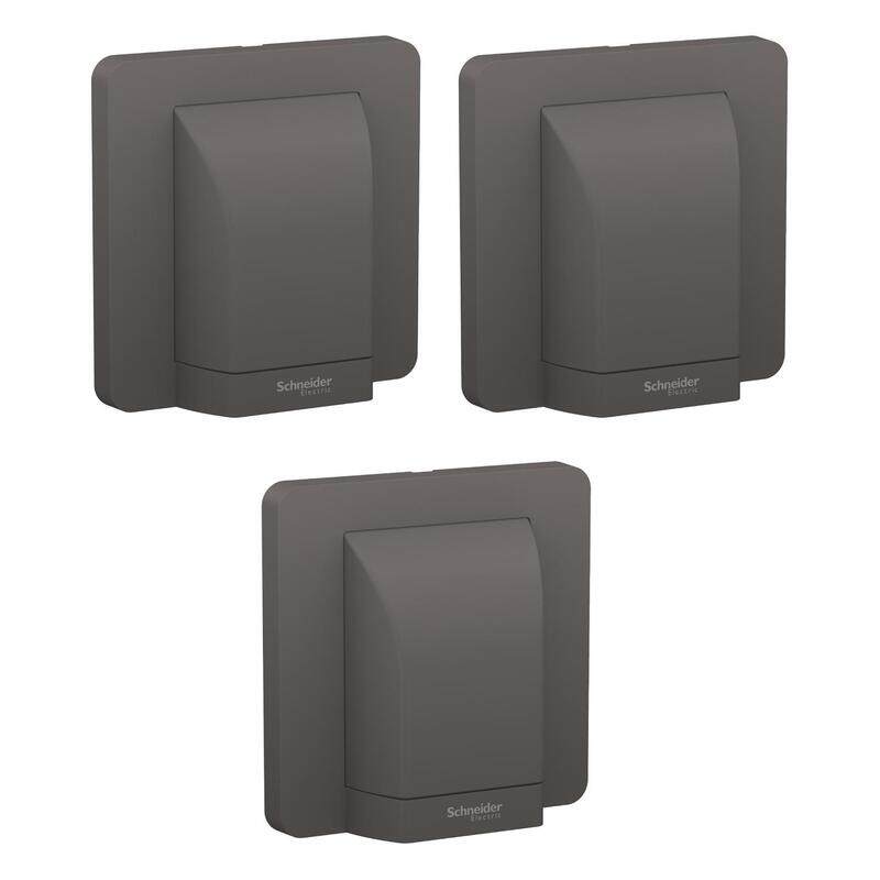 

Schneider Electric AvatarOn, fused connection, 45A, 250V, Dark grey (Model Number-E83554_DG) - Pack of 3