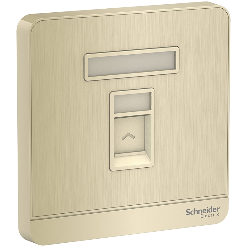 Schneider Electric AvatarOn, telephone socket, metal gold hairline (Model Number-E8331RJS4_GH)