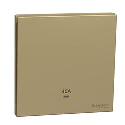 Schneider Electric Avataron C Double Pole Switch With Led E8731D45N_WG, 1 Gang, 45A Wine Gold 250 V
