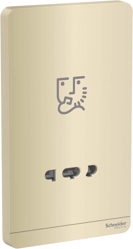 Schneider Electric AvatarOn Gold - shaver socket - 115-230 V - Gold