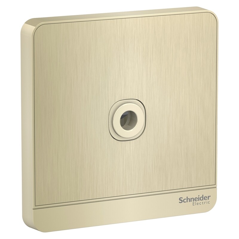 

Schneider Electric AvatarOn, fused connection, 25A, 250V, Metal Gold Hairline (Model Number-E8331TB_GH)