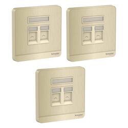 Schneider Electric AvatarOn E8332RJS_GH 1 Gang 2 Keystone Wallplate Jack RJ-45 Metal Gold Hairline - Pack of 3