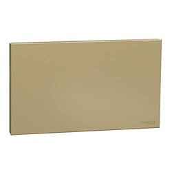 Schneider Electric Avataron C Blank Plate E8730TX_WG, 2 Gang, Wine Gold