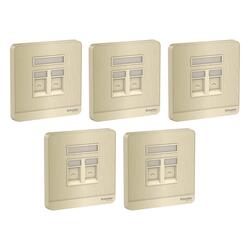 Schneider Electric AvatarOn E8332RJS_GH 1 Gang 2 Keystone Wallplate Jack RJ-45 Metal Gold Hairline - Pack of 5