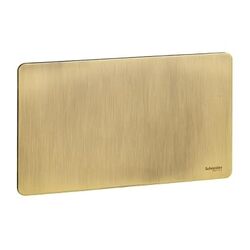 Schneider Electric Ultimate - blank plate - 2 gangs - antique brass - GU8420AB