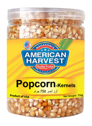 American Harvest Yellow Popcorn Kernels Jar, 750g